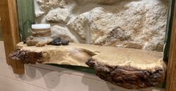 Fortress View Retreat – Cherven