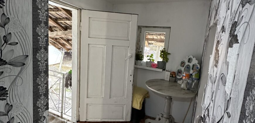 Toadstool House – Lom Cherkovna