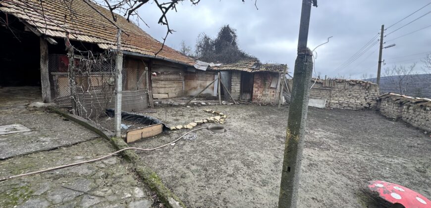 Toadstool House – Lom Cherkovna