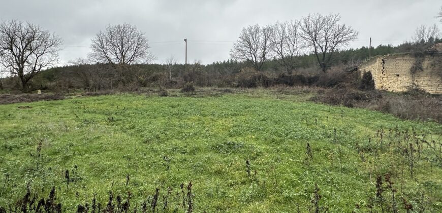 Toadstool House – Lom Cherkovna