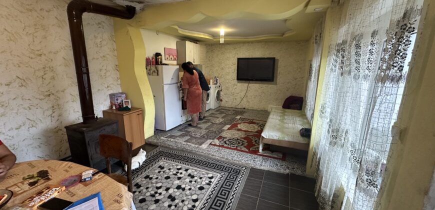 Toadstool House – Lom Cherkovna