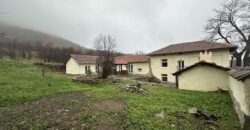 Marsala Foxfields – Rish