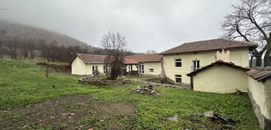 Marsala Foxfields – Rish