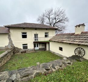 Marsala Foxfields – Rish