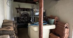 Marsala Foxfields – Rish