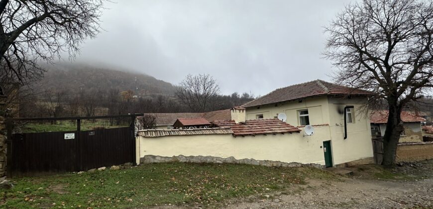 Marsala Foxfields – Rish