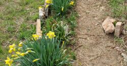 *SALE AGREED* The Old Winery House – Kardam