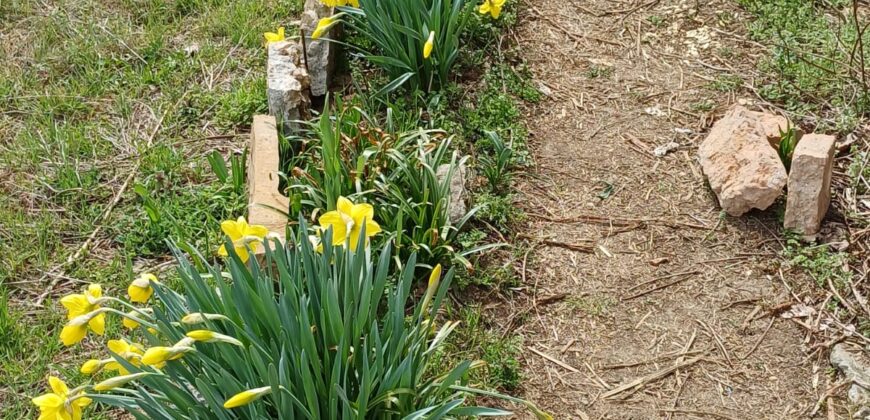 *SALE AGREED* The Old Winery House – Kardam