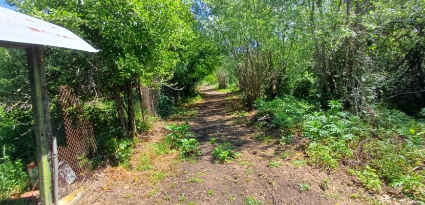 *SALE AGREED* The Old Winery House – Kardam