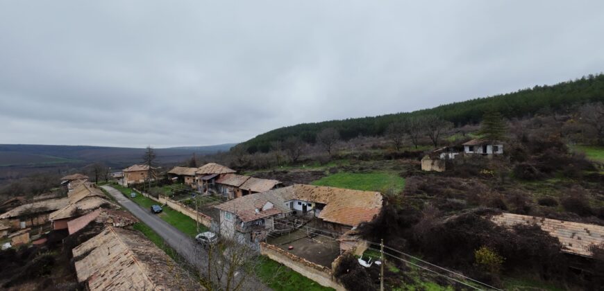 Toadstool House – Lom Cherkovna