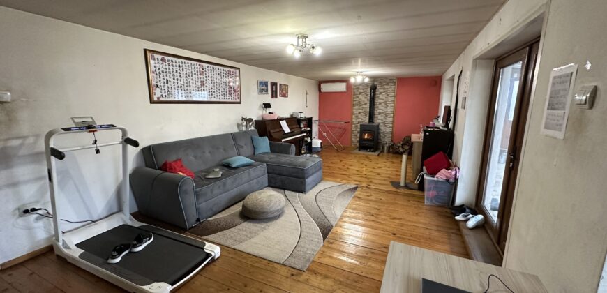 Beethoven House – Radanovo