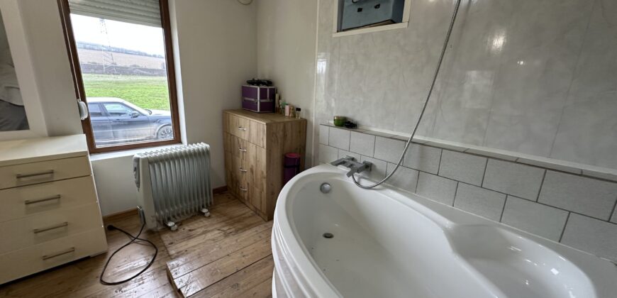 Beethoven House – Radanovo