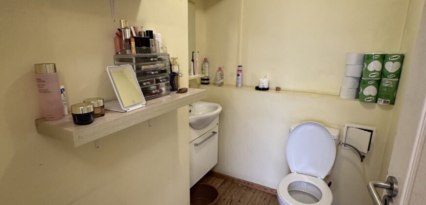 Beethoven House – Radanovo