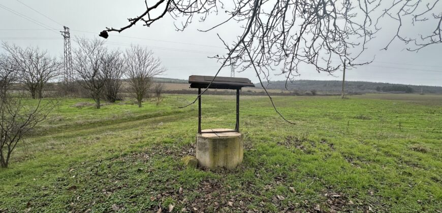 Beethoven House – Radanovo