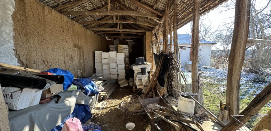 Zen House – Palamartsa (New offer)