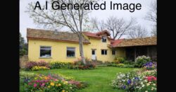 Zen House – Palamartsa (New offer)