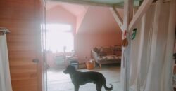 Zen House – Palamartsa (New offer)