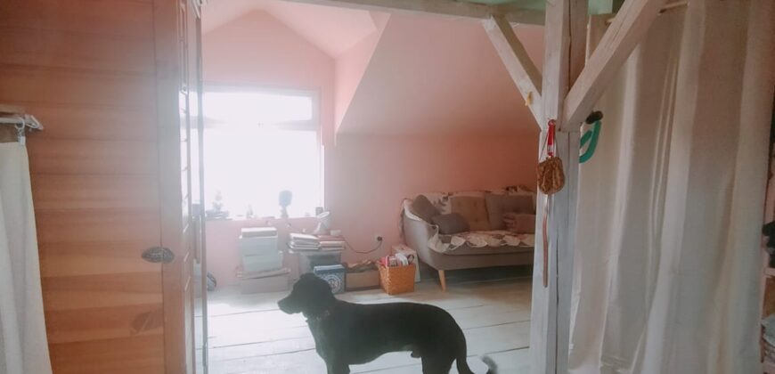 Zen House – Palamartsa (New offer)