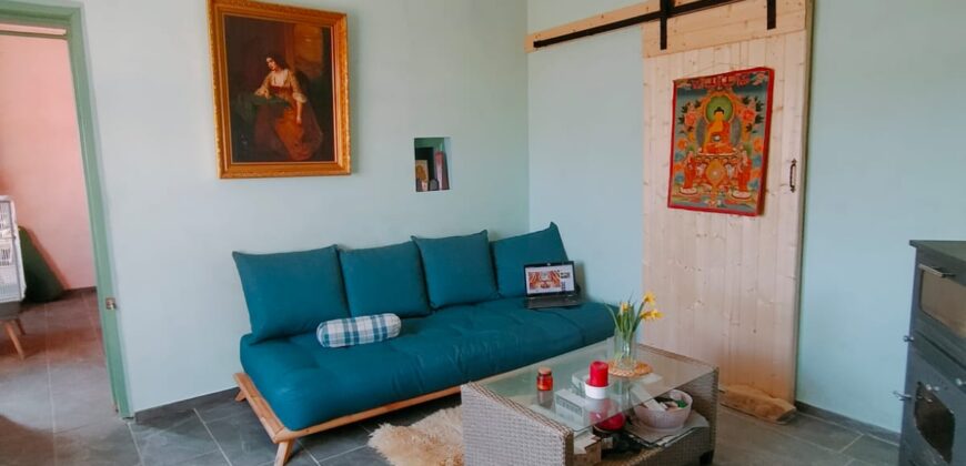 Zen House – Palamartsa (New offer)