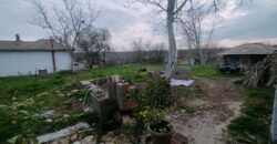 Zen House – Palamartsa (New offer)