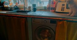 Zen House – Palamartsa (New offer)