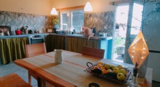 Zen House – Palamartsa (New offer)