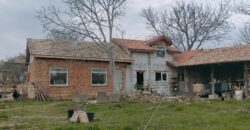 Zen House – Palamartsa (New offer)