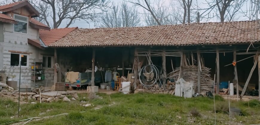 Zen House – Palamartsa (New offer)