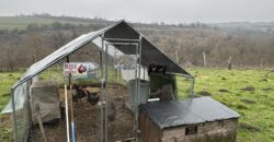 Hill View Chiflik – Slavyanovo