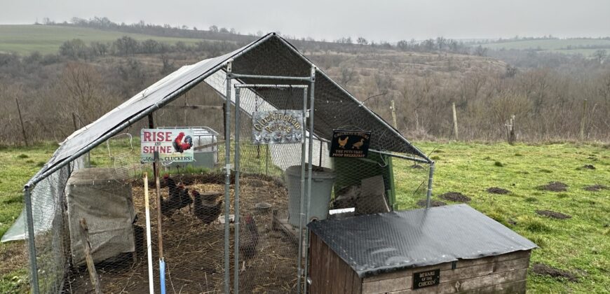 Hill View Chiflik – Slavyanovo