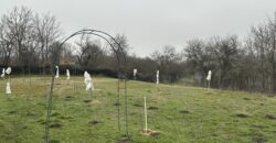 Hill View Chiflik – Slavyanovo