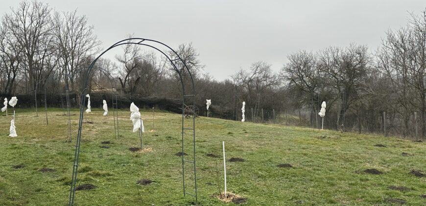 Hill View Chiflik – Slavyanovo