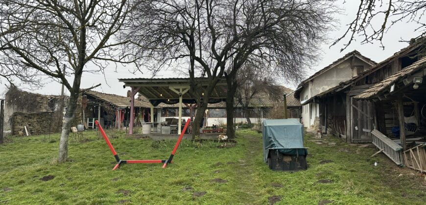 Hill View Chiflik – Slavyanovo