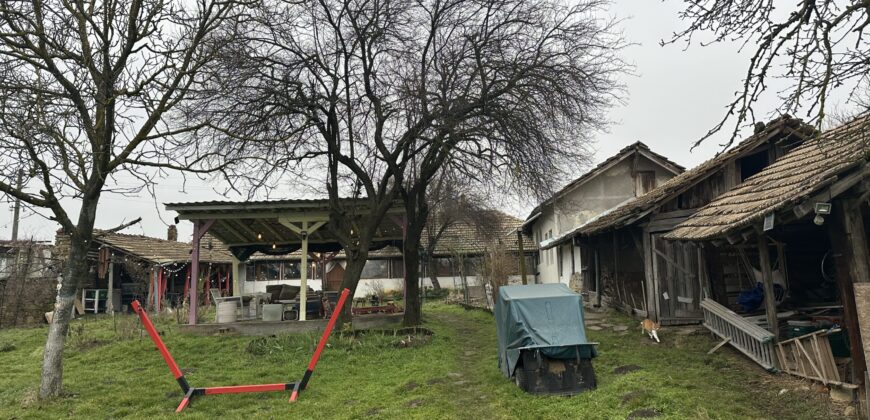 Hill View Chiflik – Slavyanovo