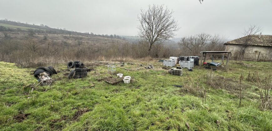 Hill View Chiflik – Slavyanovo