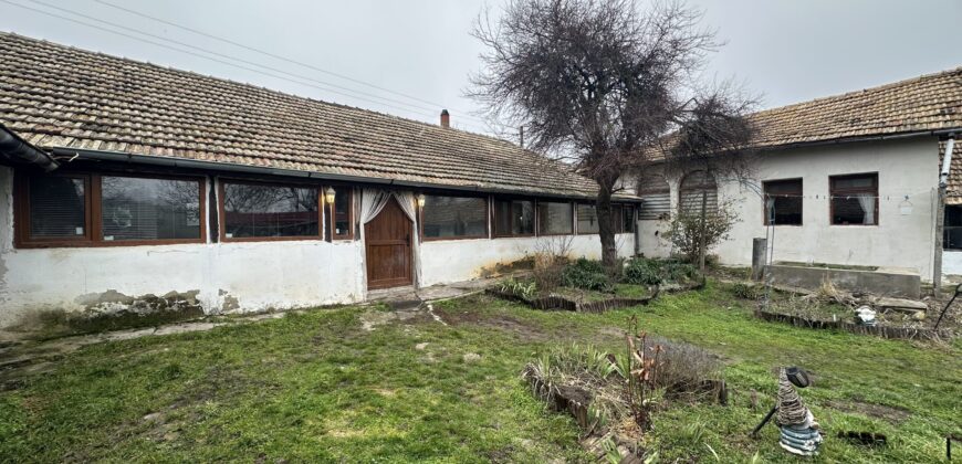 Hill View Chiflik – Slavyanovo