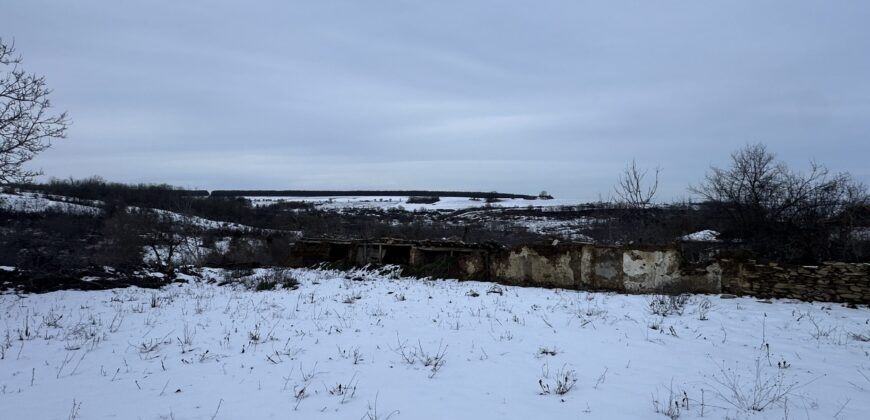 The Quiet Ridge House – Zvezda