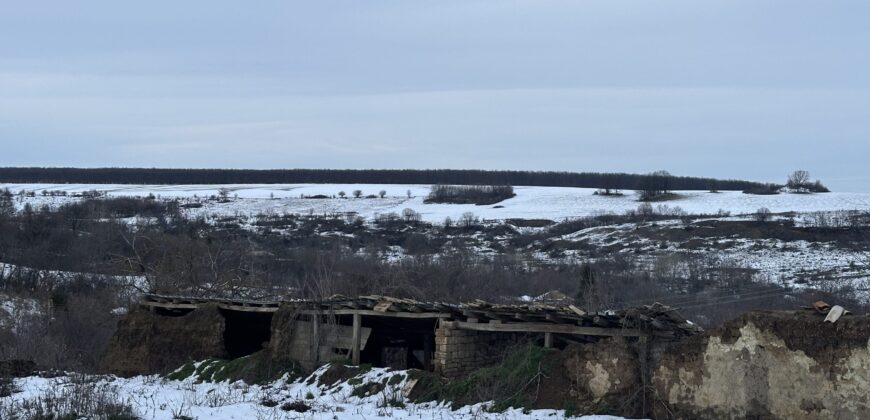 The Quiet Ridge House – Zvezda