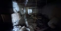 The Quiet Ridge House – Zvezda