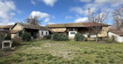 Gingerbread House – Gradina