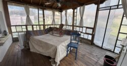 Gingerbread House – Gradina