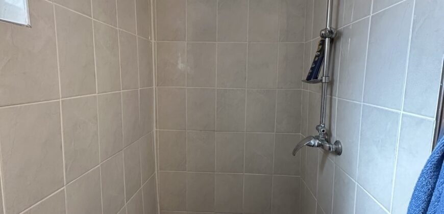 Gingerbread House – Gradina