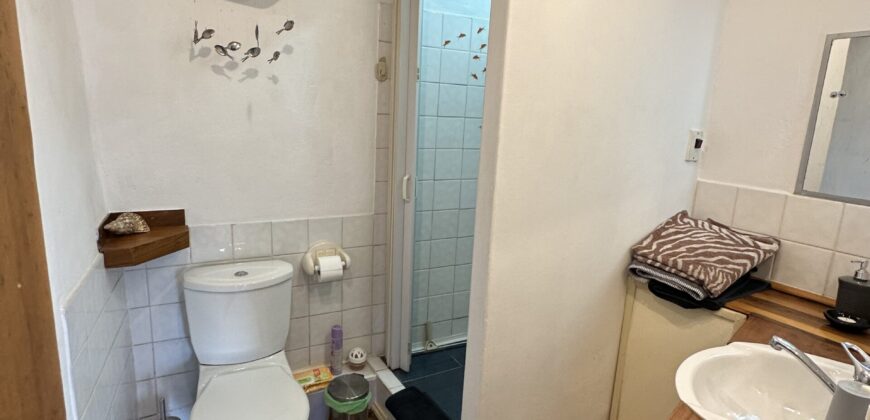 Gingerbread House – Gradina