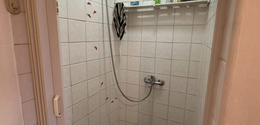 Gingerbread House – Gradina