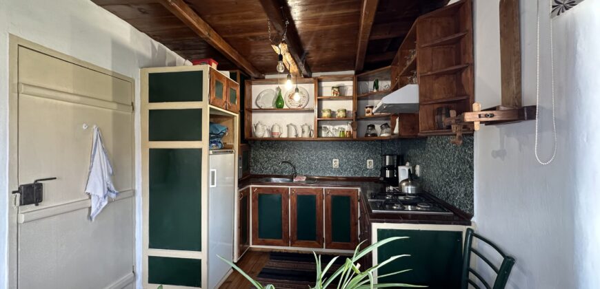 Gingerbread House – Gradina