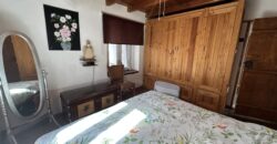 Gingerbread House – Gradina