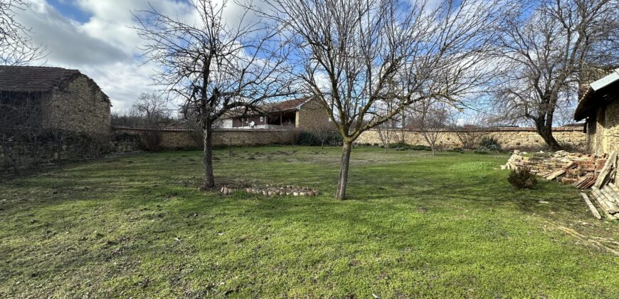 Gingerbread House – Gradina