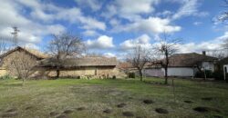 Gingerbread House – Gradina