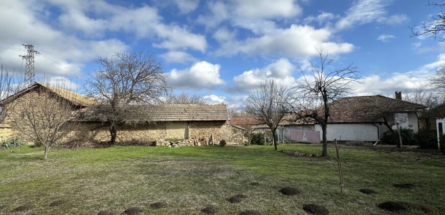 Gingerbread House – Gradina