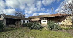 Gingerbread House – Gradina